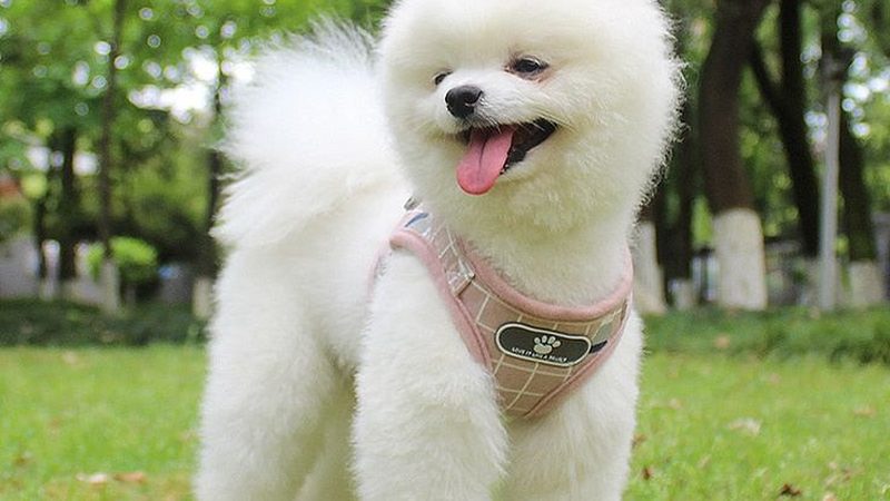 医院洁净环境中的风机盘管选型要点**